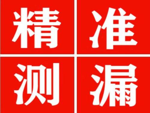 武定尚嘉漏水精准查找