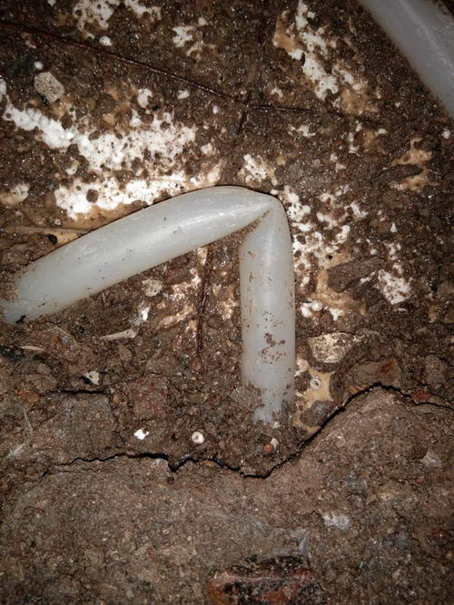 武定堵点精准查找